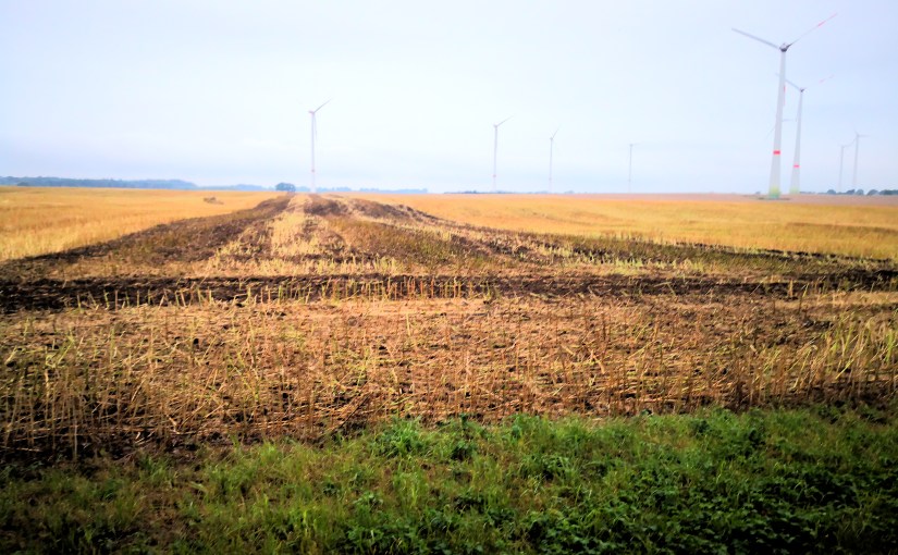 Freiheit,Freude verlieren durch Palantir und&nbsp;….?